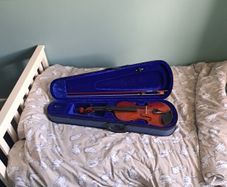 Leonardo Fiddle