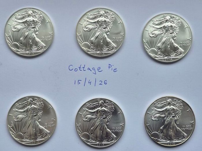 1 oz American Silver Eagle Bullion Coins