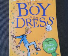 The Boy in The Dress:David Walliams