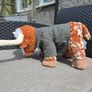 Build a Bear teddy Image 3