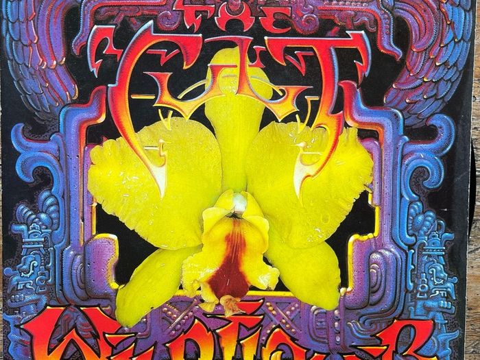 The Cult. Wild flower picture sleeve single in nm condition vinyl