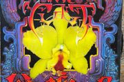 The Cult. Wild flower picture sleeve single in nm condition vinyl
