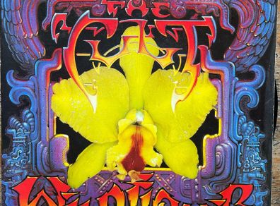The Cult. Wild flower picture sleeve single in nm condition vinyl