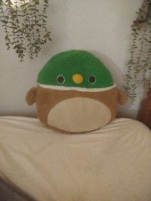 squishmallow