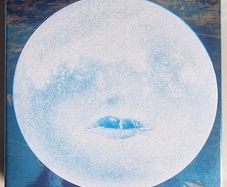 Wilco - Summerteeth Limited Edition Reissue Delux CD Boxset