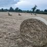 bales of hay Image 3
