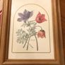 Vintage Anemone Botanical Print Framed - Nederlandsch Bloemwerk Cottagecore Art 12x15 inches Image 7