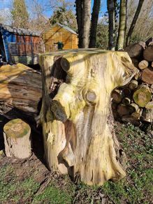 wood -timber