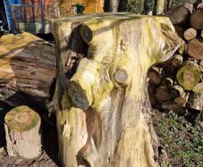 wood -timber