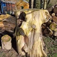 wood -timber