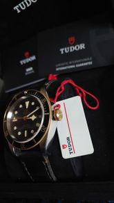 Tudor Black Bay