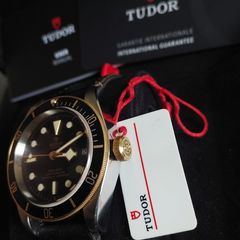 Tudor Black Bay