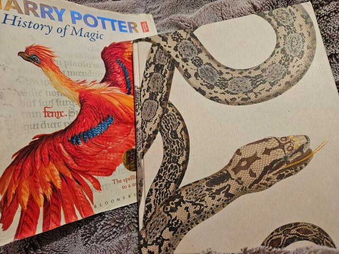 Harry Potter: A History of Magic