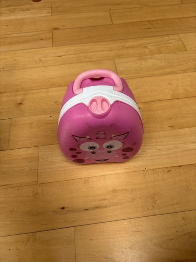 Travel Potty