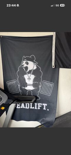 Selection Of Gym Equipment