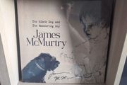 James McMurtry - The Black Dog and the Wandering Boy Signed Vinyl