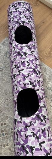 cat tunnel