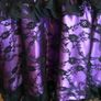 New Two layer Purple/Black Lace Dress Image 7
