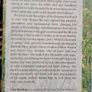 Jacks World Farming Sheeps Head Peninsula Book Image 2
