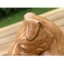 Vintage Ceramic Scottie Dog Figure Image 4