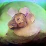 Squid Bright Green Field 54'46" 2 LPs vinyl Free inspection Image 2