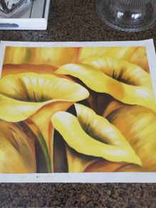 Yellow Cala lylies oil on canvas.