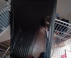 2 monitors
