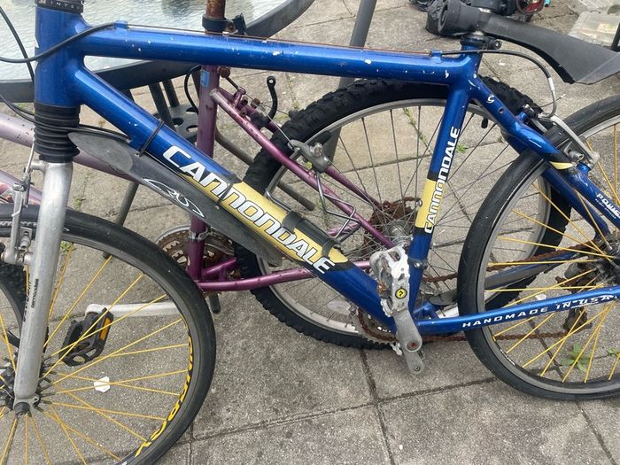 bikes