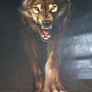 3D LiveLife Lenticular Wall Art Prints - Aloof From Deluxe Base - Unframed 3D Wolf - Size - 38.5cm x 28cm - RRP - 18.99 Image 5