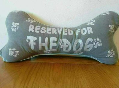 Pet Cushion