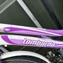 bike woman Image 2