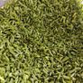 Fine Leaved Chive Plants / Chive Seeds Image 4