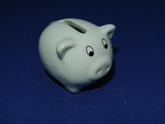 Little Porcelain Pig Money Box