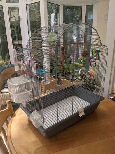 Bird cage