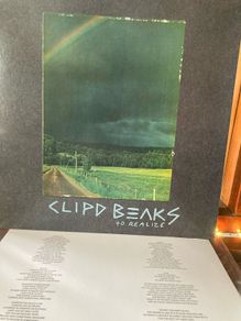 Clipd Beaks - To Realize