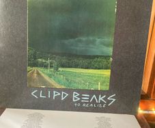 Clipd Beaks - To Realize