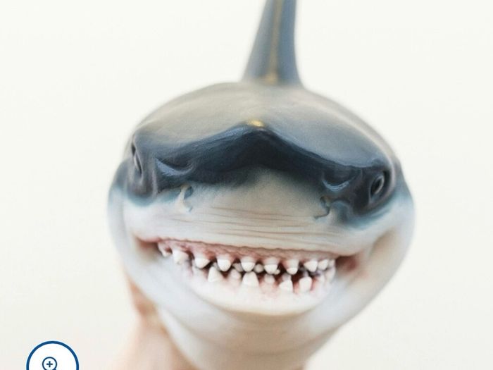 Wild Thingz Shark Hand puppet BNWOT