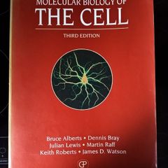 Molecular Biology of The Cell - Bruce Alberts et al