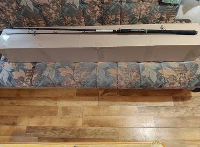 Penn Persuit IV Spinning Rod Combo