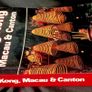 Hong Kong, Macau & Canton (a Lonely Planet Travel Survival Kit) by Robert Storey - Paperback Image 4