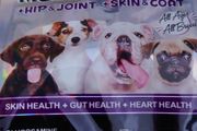 health treats for dogos