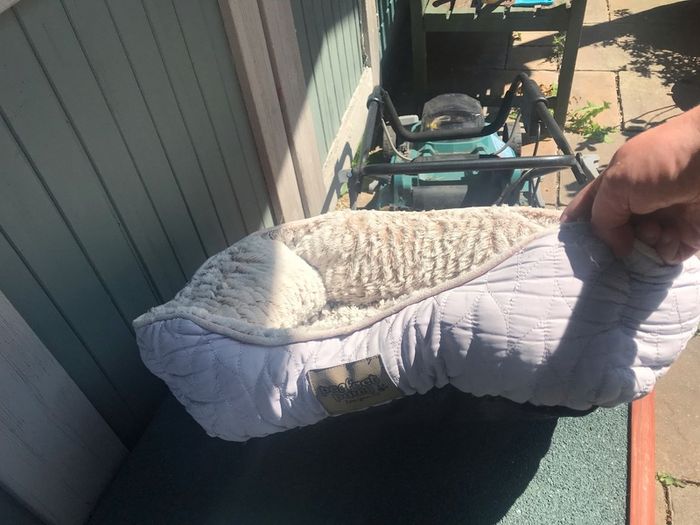 Small cat/ pet bed
