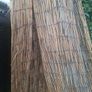 bamboo screens Image 2