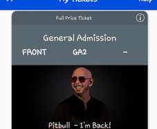 PittBull concert