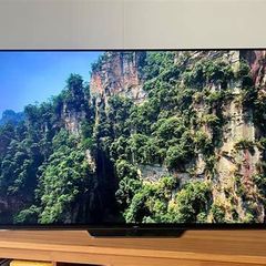 Sony 55" A8f Oled Hdr Dv Tv