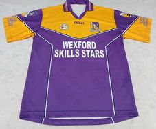 Vintage Wexford GAA jersey