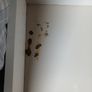 ikea chest of drawers Image 3