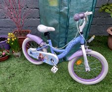 Child's Frozen Bike (3/4 years old?)