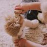 Dinkum dolls pinewood hair brush Image 3