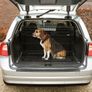 Brand new SAVIC folding dog crate never used Image 3